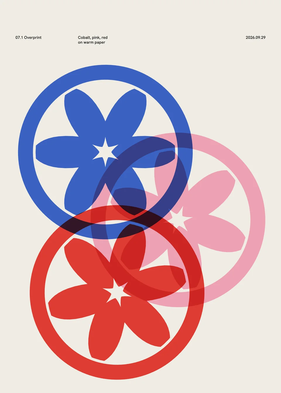 Print: three Ümbe blooms in cobalt, pink and red overlapping on warm paper, making new colours where they cross.