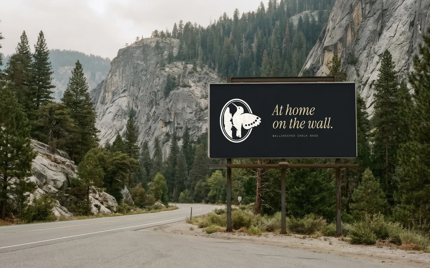A billboard beside a canyon road among granite cliffs: the seal and the line At home on the wall on graphite.